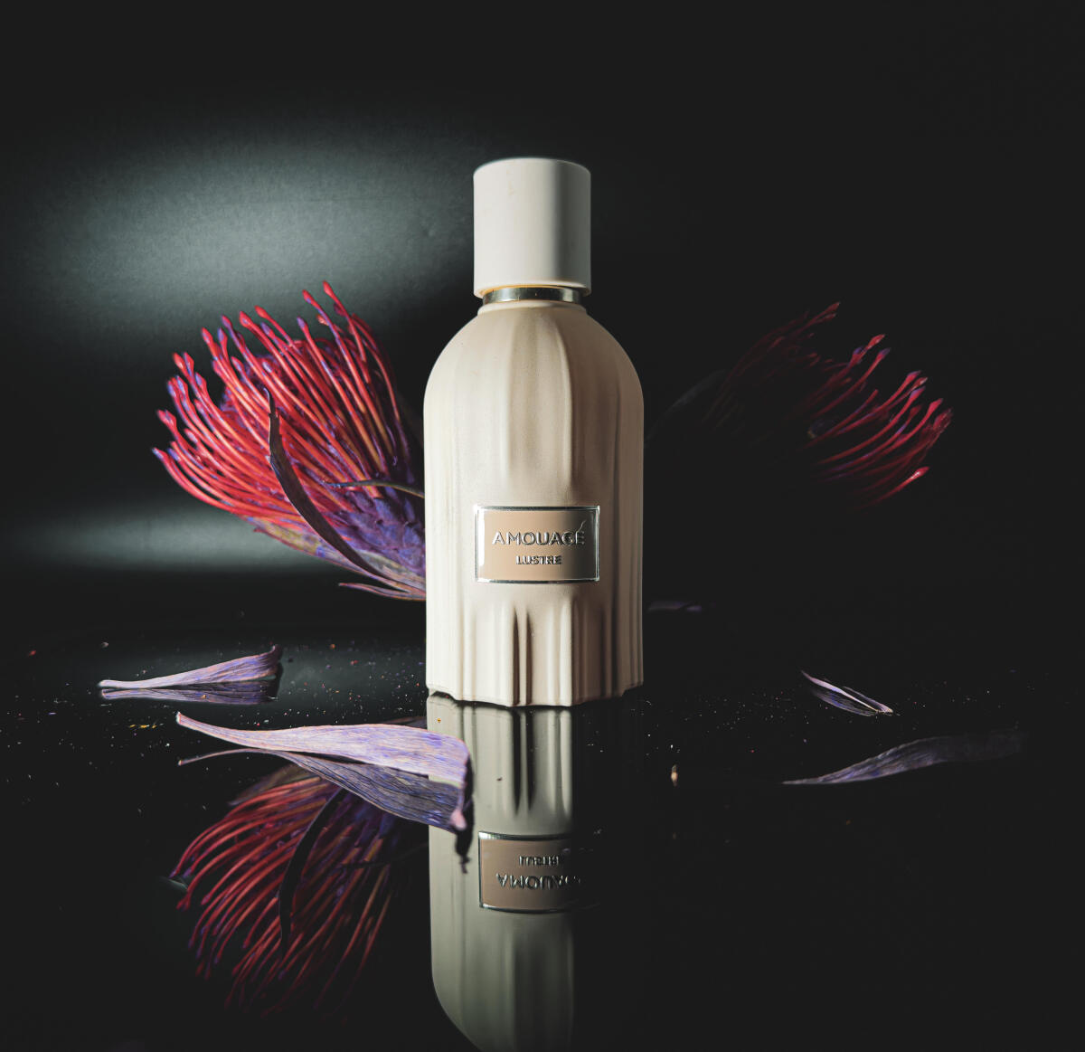 Amouage Lustre Parfüm 100ml Lu – Perfume Fragrance Details Bewertung und Preis