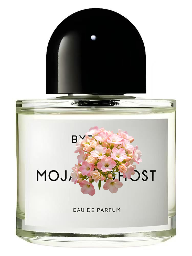 Unisex Eau de Parfum 100ml 3.4 – Amber Musk Oil Bewertung und Preis